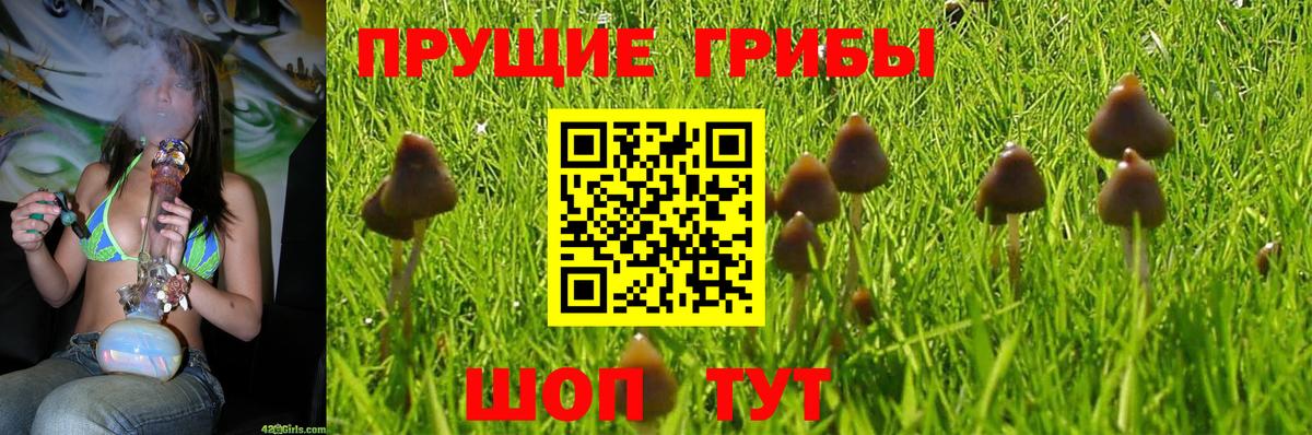 Галлюциногенные грибы мицелий  Вход с VPN  Нововоронеж  Псилоцибиновые грибы мухоморы 